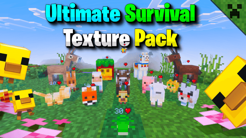 Thumbnail for SURVIVAL PACK