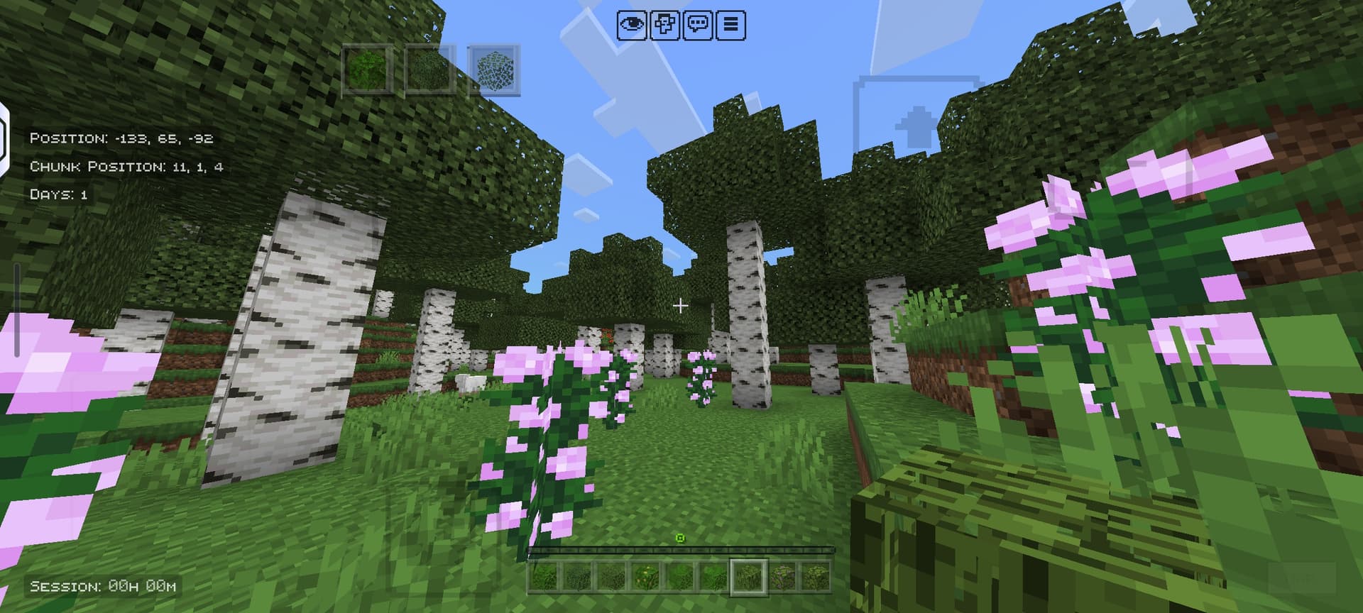 Thumbnail for Improved Fancy Leaves